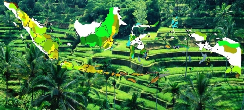  Indonesian Agricultural Potential